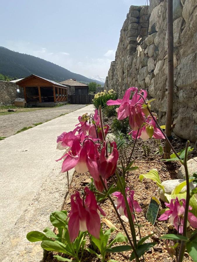 Mestia Residence Bagian luar foto